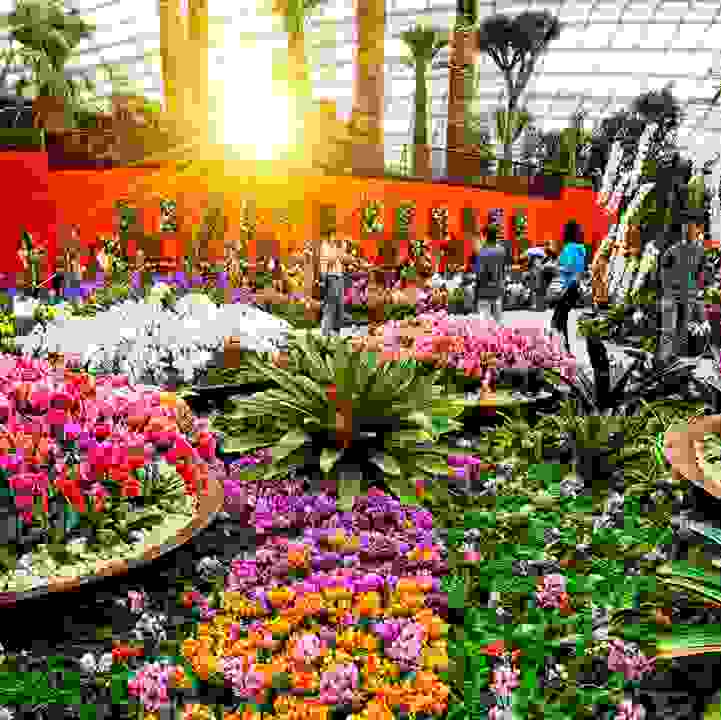 Friends of the Gardens Flower Dome only Membership Promotion