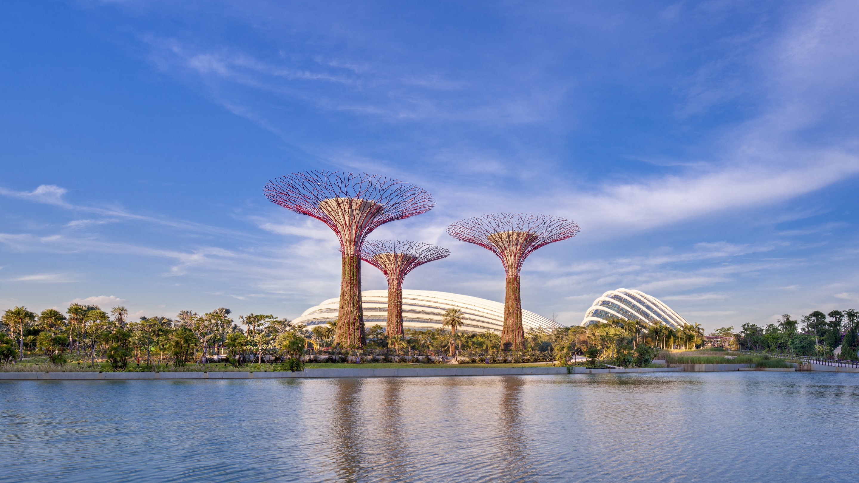 Gardens by the bay