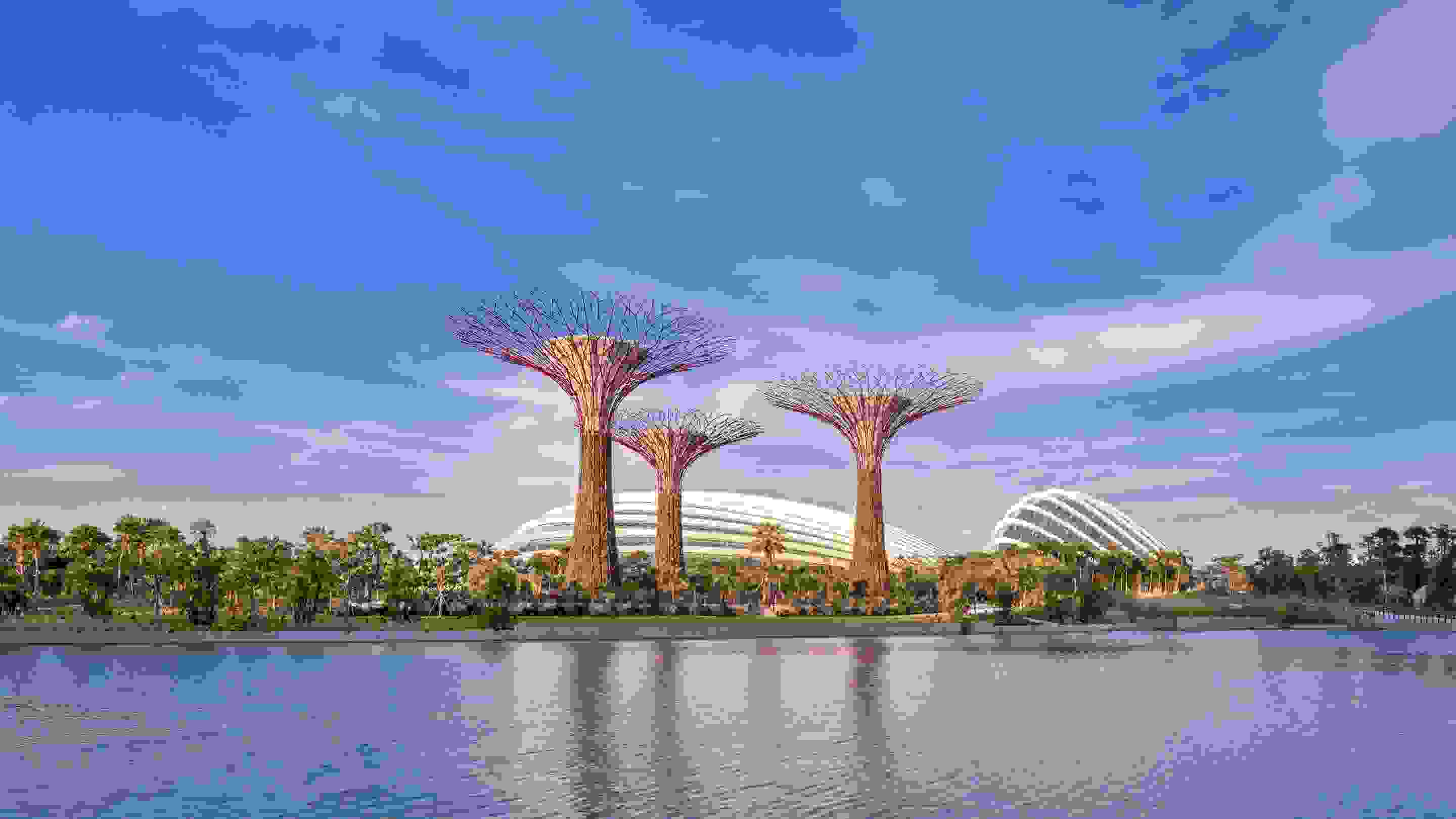 Gardens by the bay