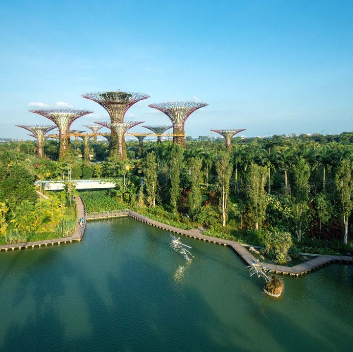 Sustainability Efforts