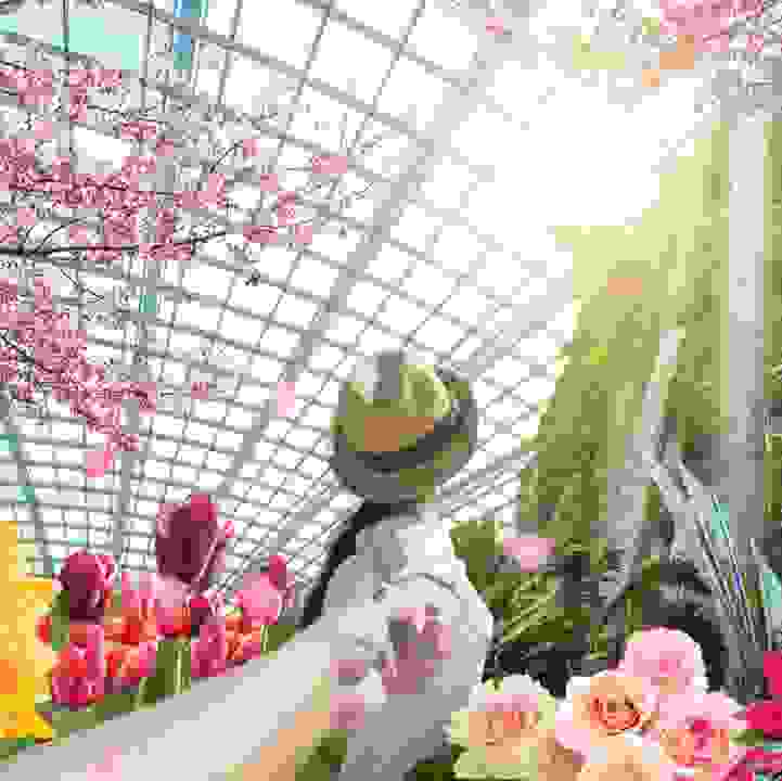 Friends of the Gardens Membership Promotion