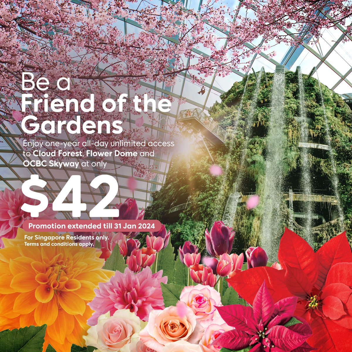 Friends of the Gardens Membership Promotion