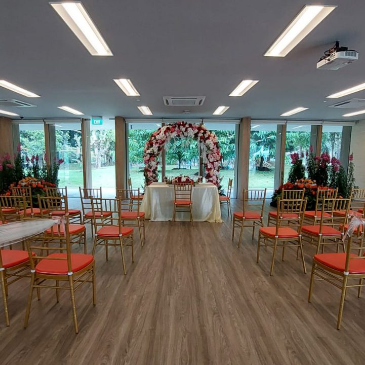Ficus Room