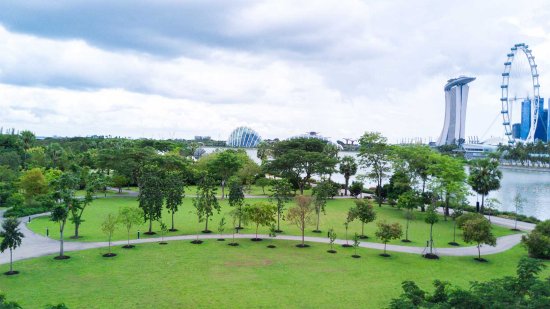 Host an event at Promenade Lawn