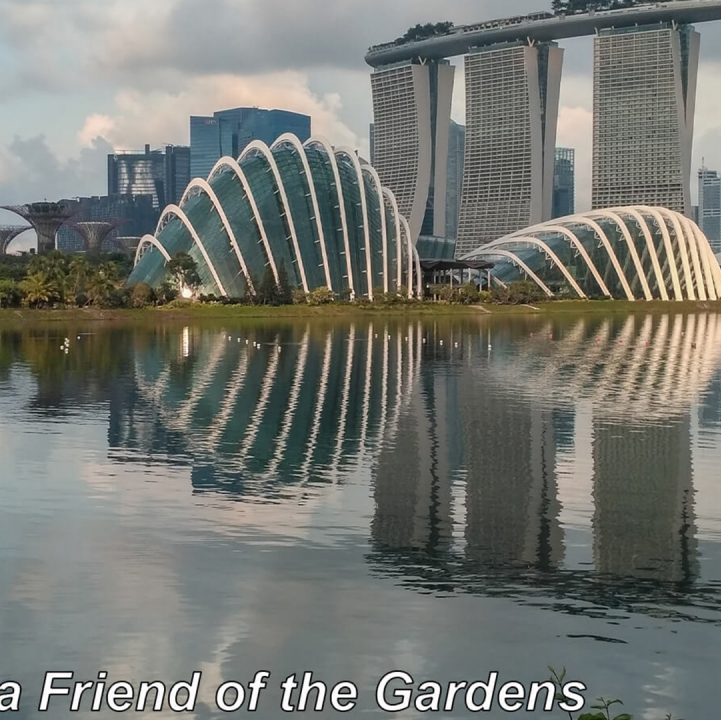 The Best Photo Spots at the Gardens