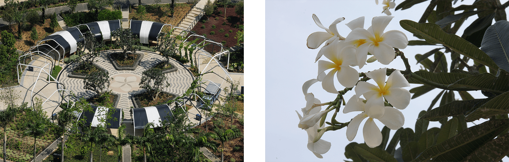 Colonial Garden