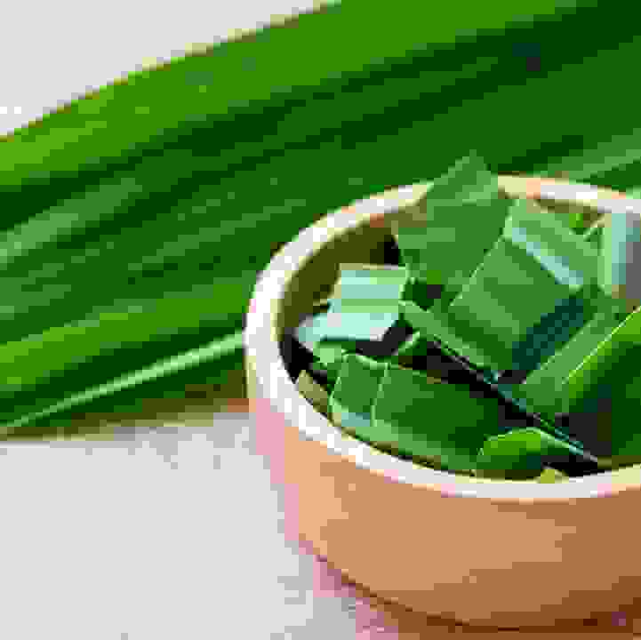 Culinary Creations: Pandan