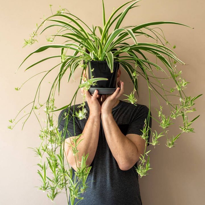 What's Your Plant Personality?