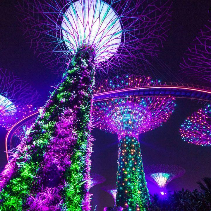 Supertree Grove &amp; Supertree Observatory