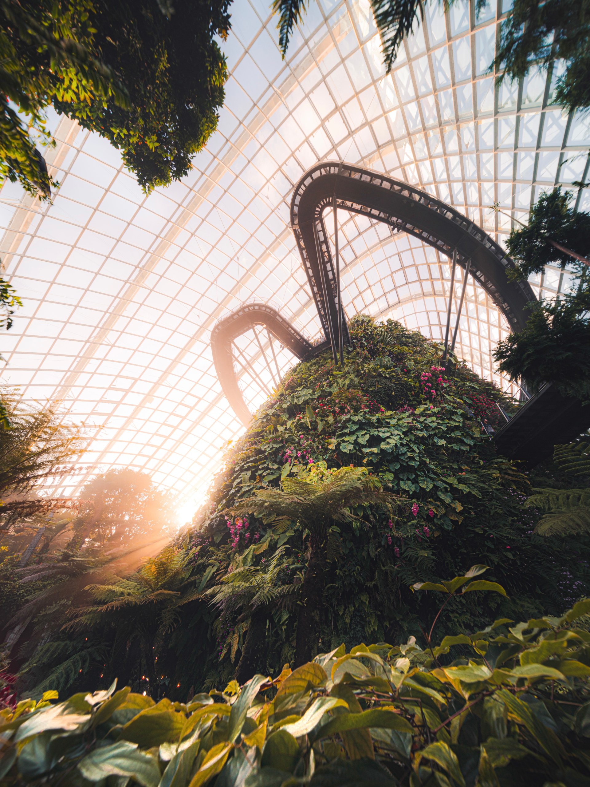 Gardens by the bay