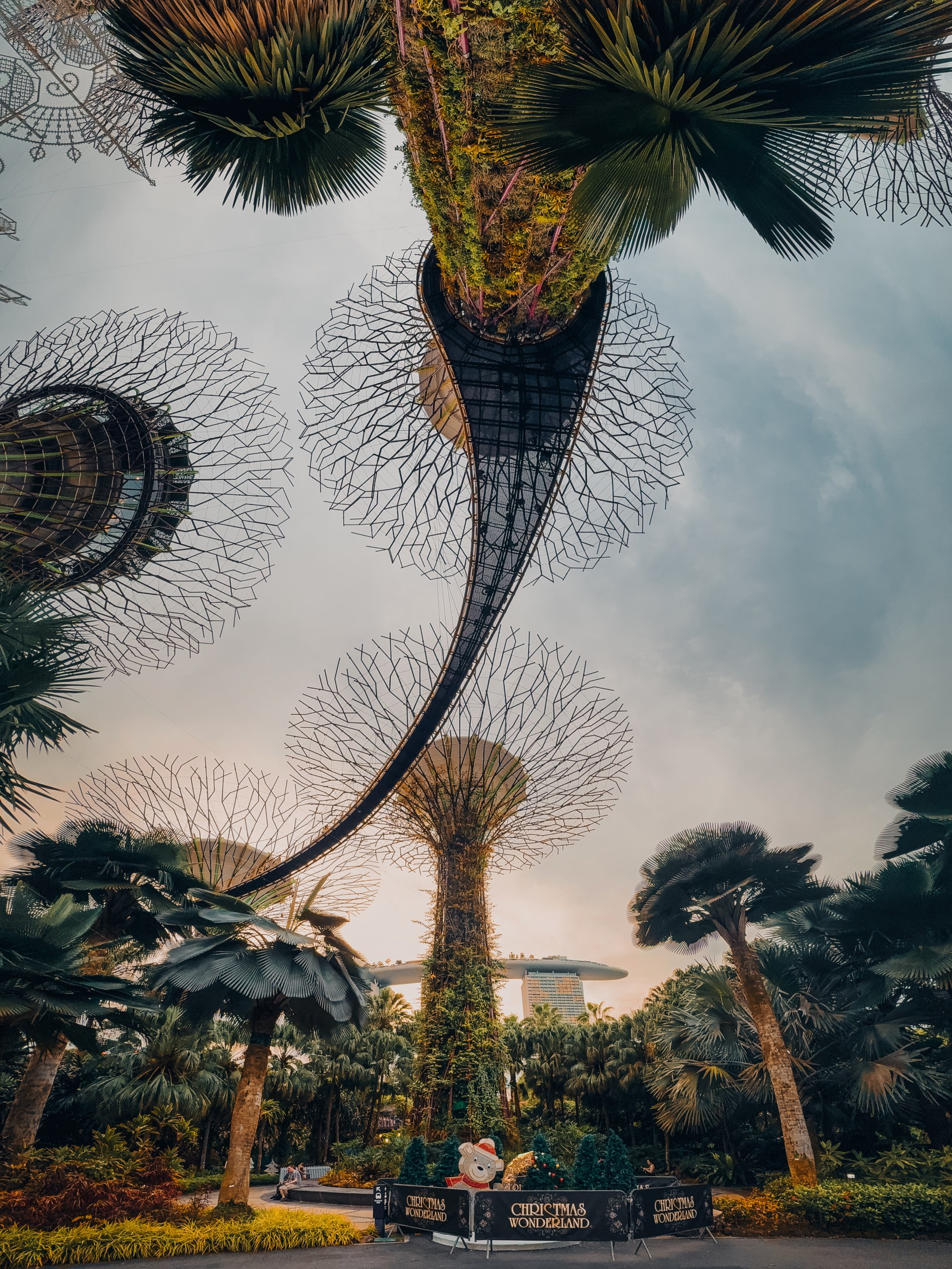 Gardens by the bay