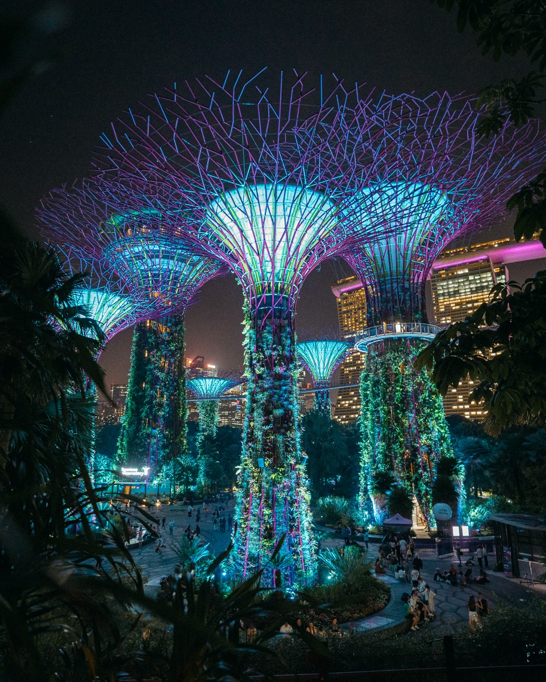 Gardens by the bay