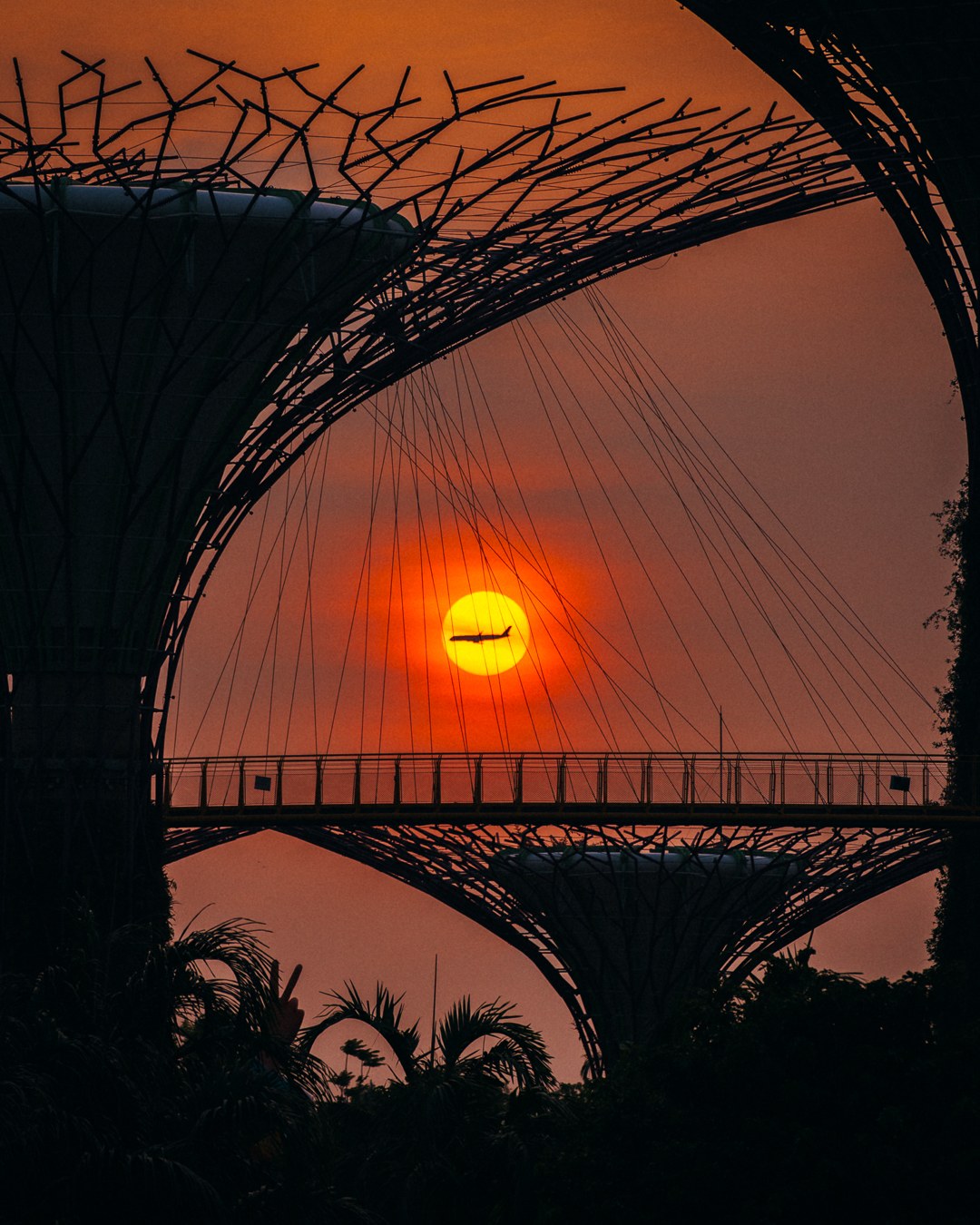 Gardens by the bay
