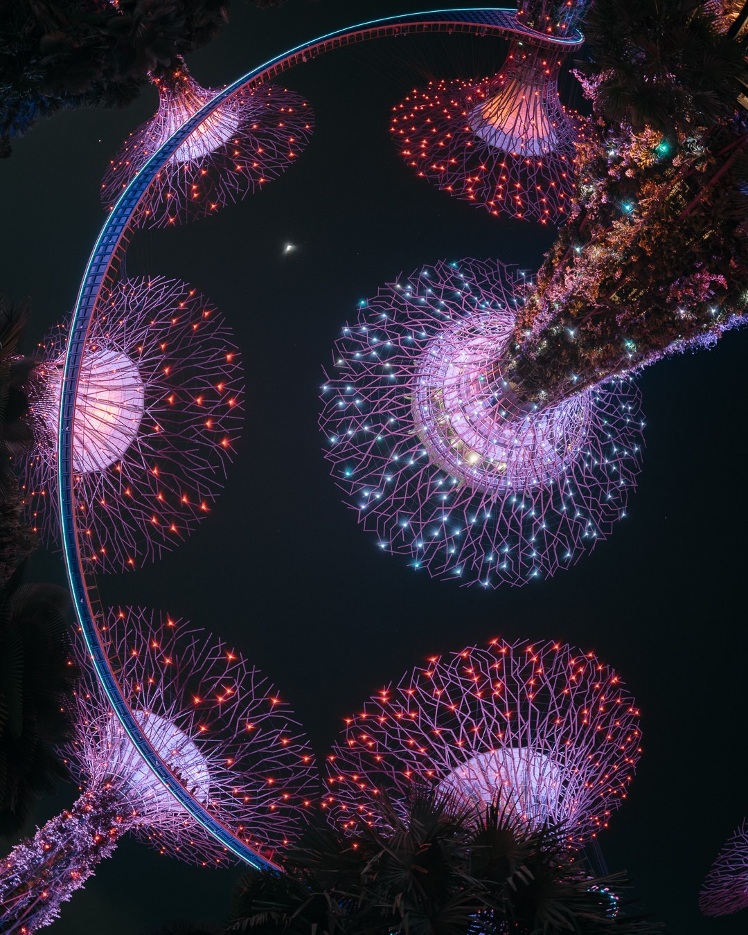 Gardens by the bay