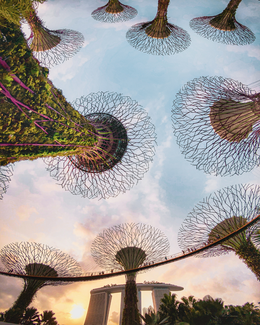 Gardens by the bay