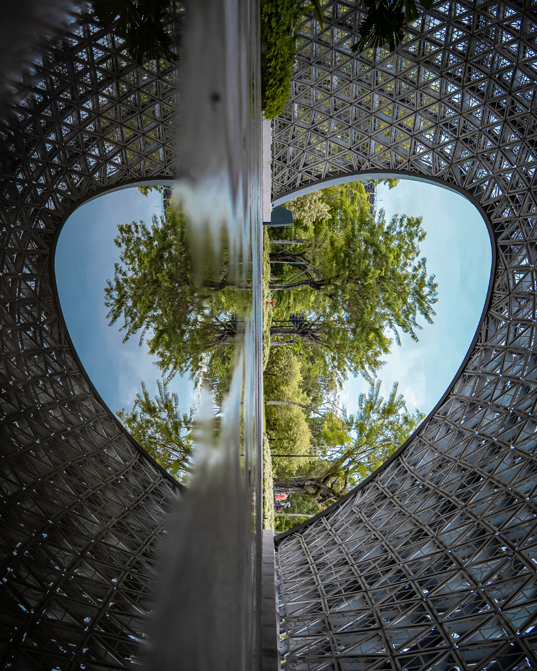 Gardens by the bay