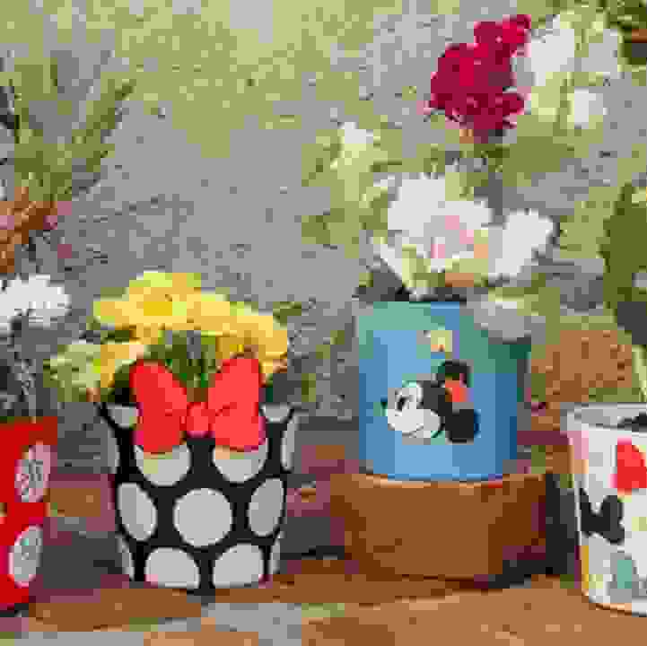 Minnie Mouse Flower Pots