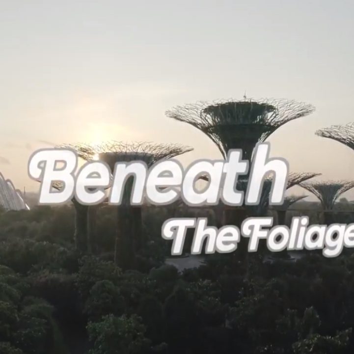 Beneath The Foliage