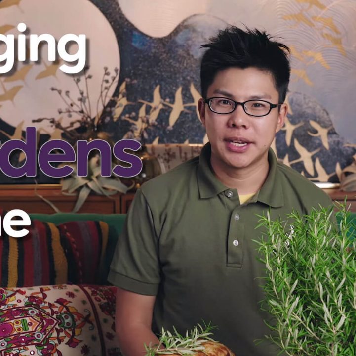 Bringing the Gardens Home