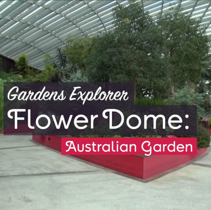 Gardens Explorer: Flower Dome