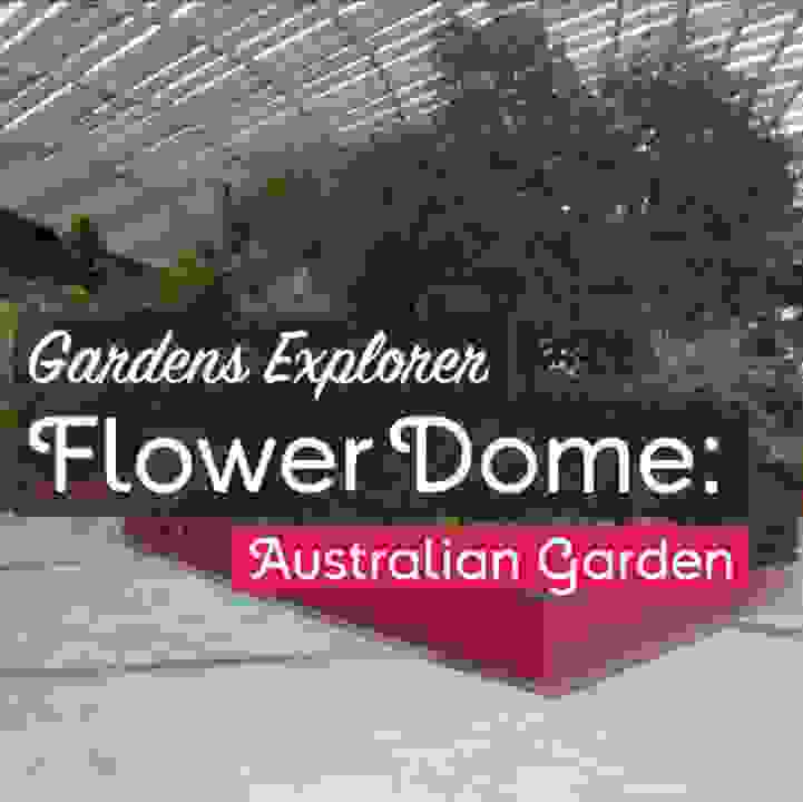 Gardens Explorer: Flower Dome