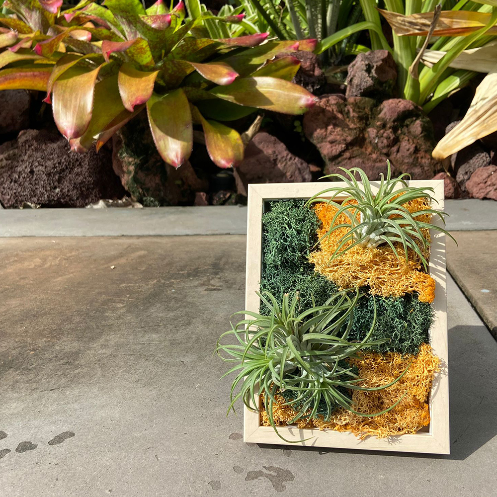 Grow with the Gardens Lite