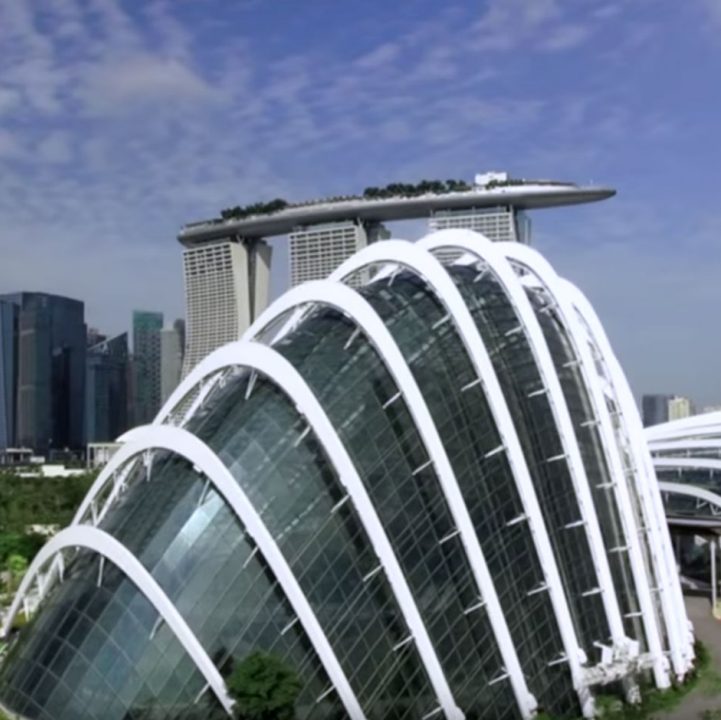 #PlantOneOnMe: Gardens by the Bay