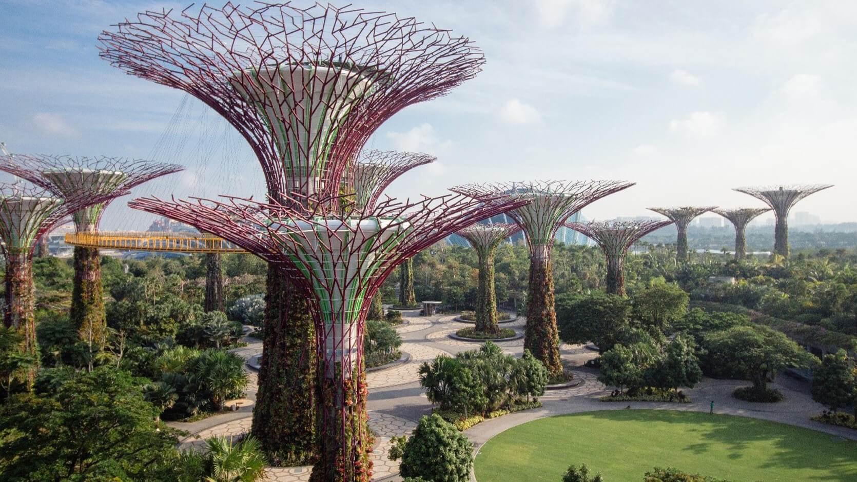 Gardens by the bay