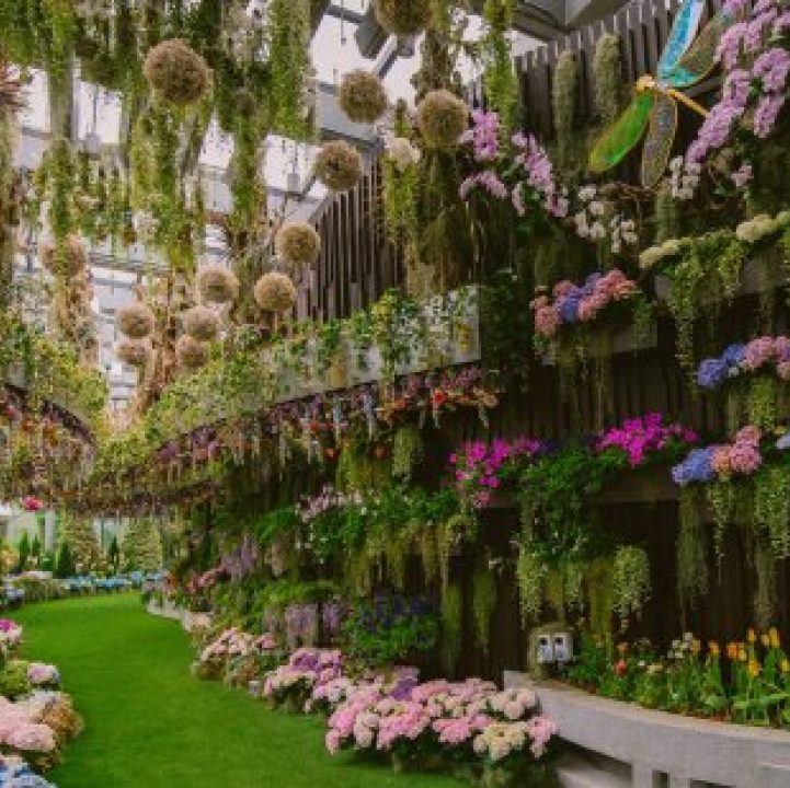 A Glimpse Into Floral Fantasy - Primary