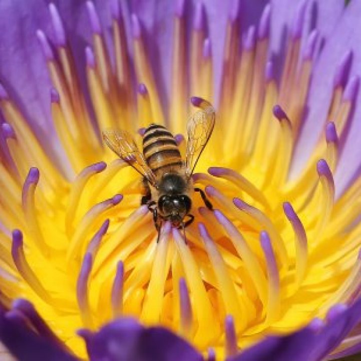 Interactions at the Gardens