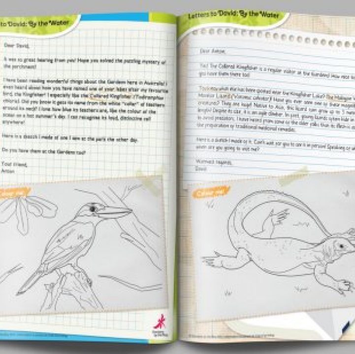 Letters to David: By the Water