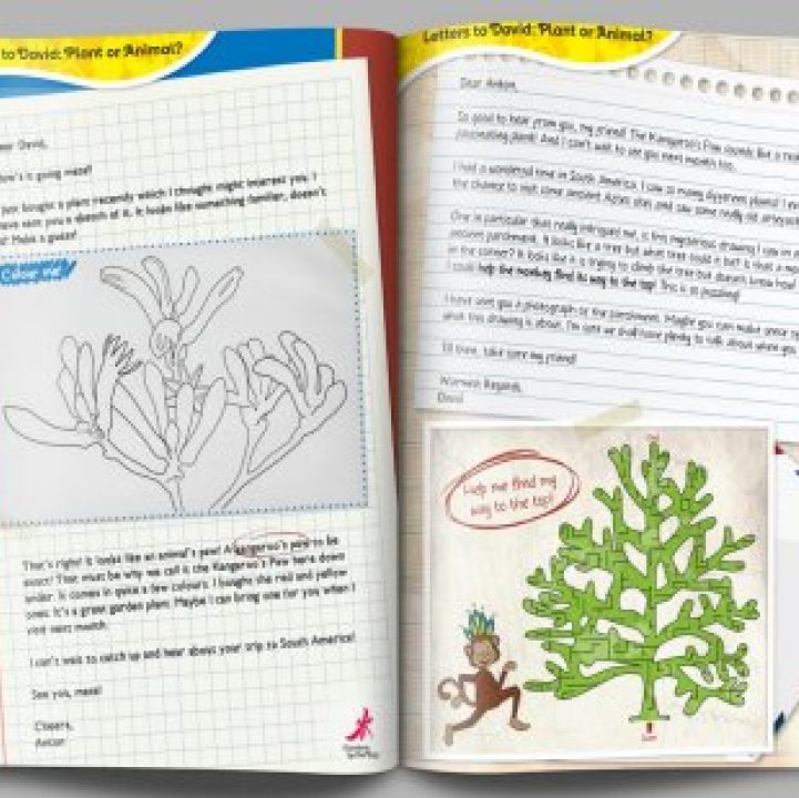 Letters to David: Plant or Animal?