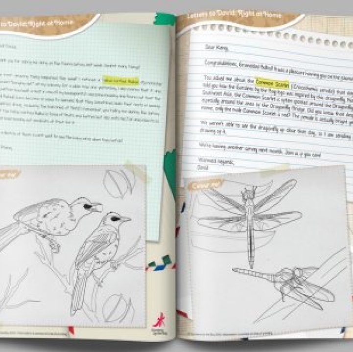 Letters to David: Right At Home