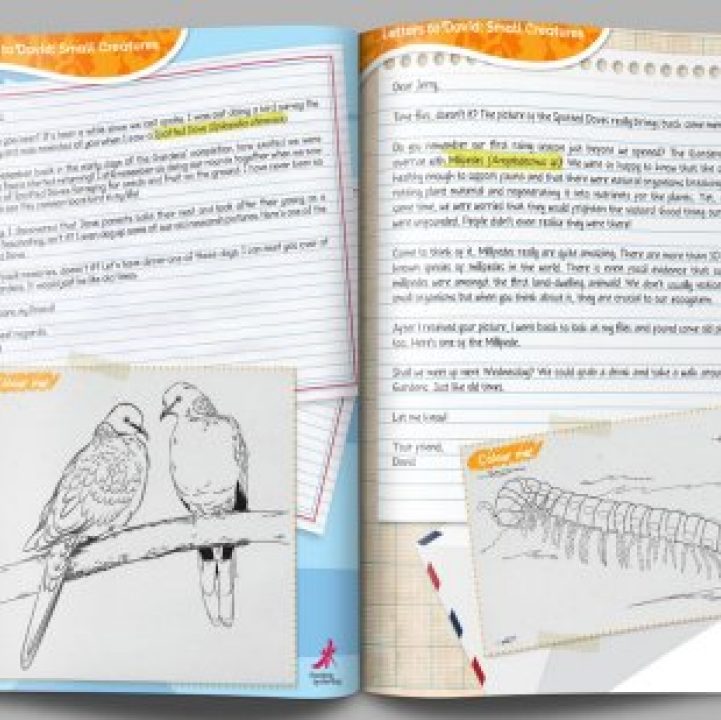 Letters to David: Small Creatures/Larger than Life