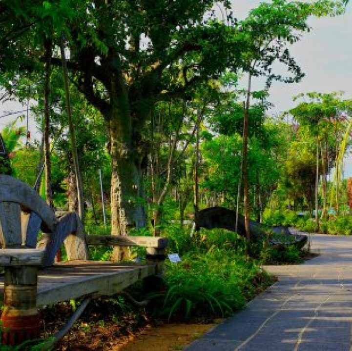 Living in the Tropics