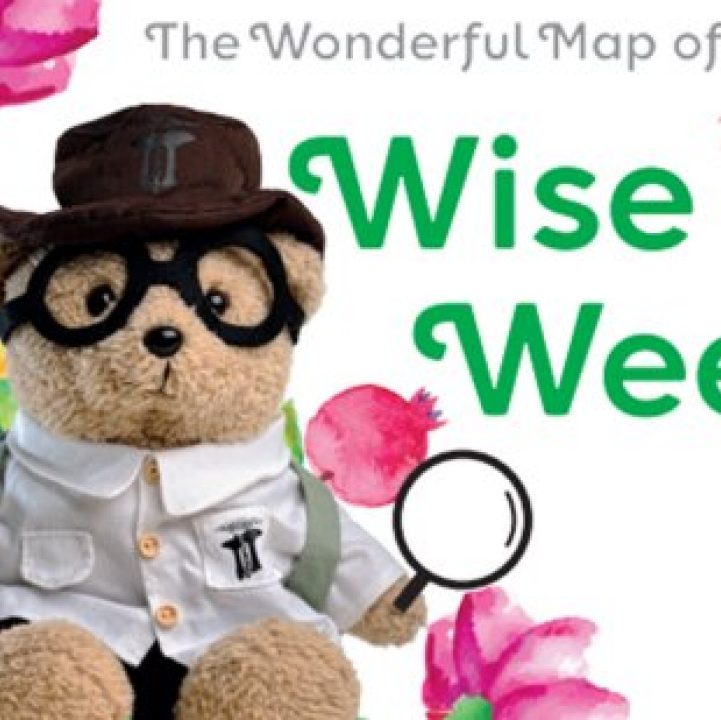 The Wonderful Map of Wise Wee