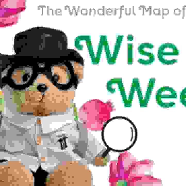 The Wonderful Map of Wise Wee