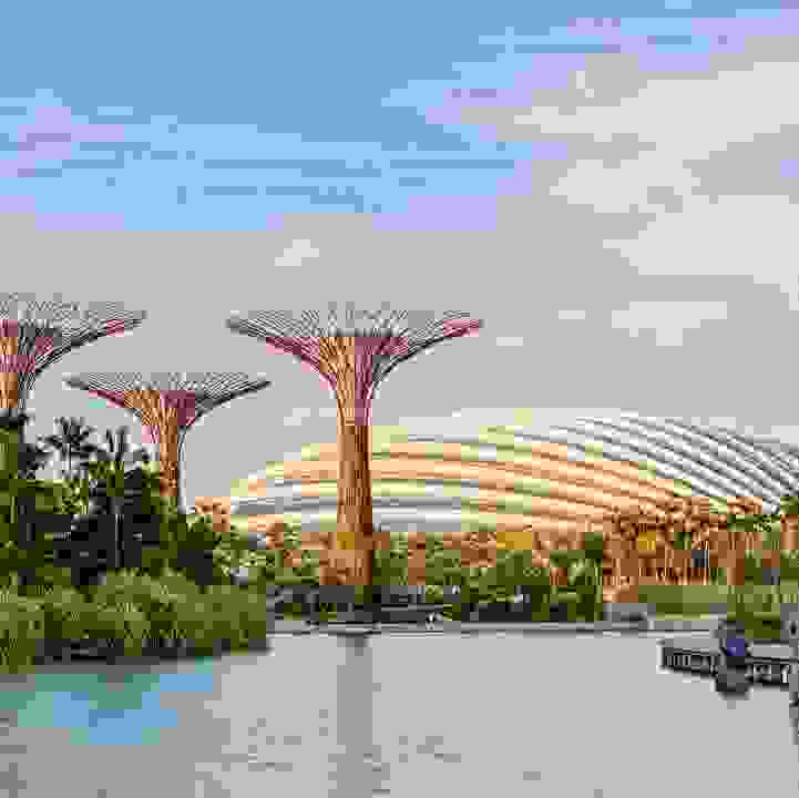 We Built This City