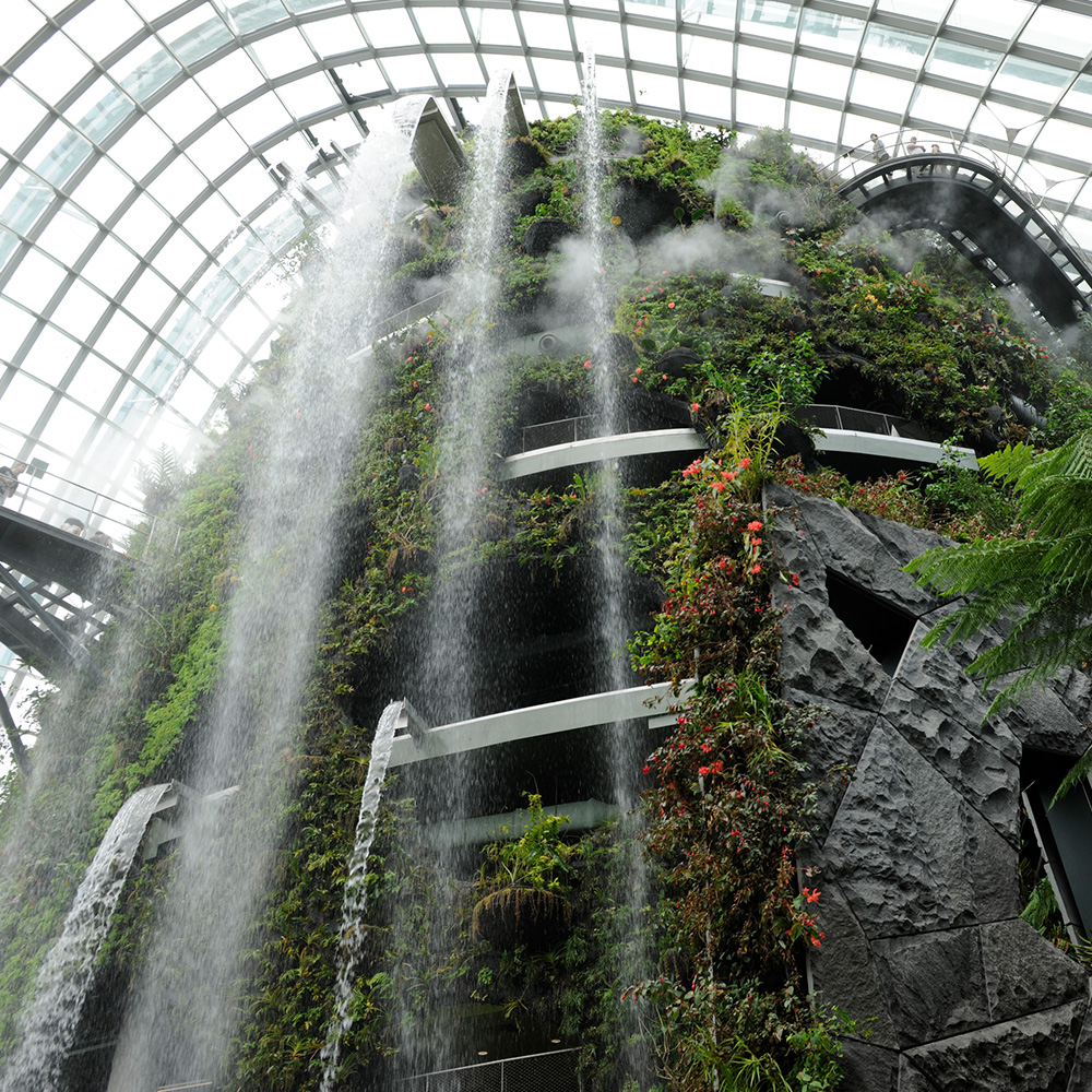 Where Did My Home Go?