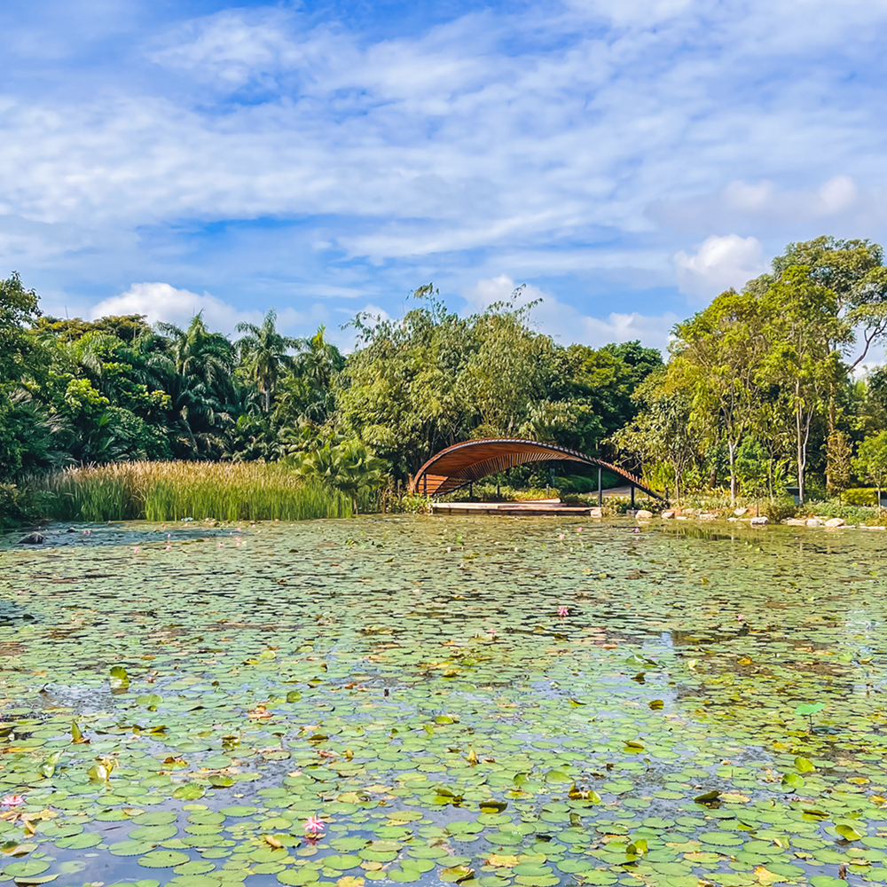 Discovery Journey: Plant Diversity and Sustainability