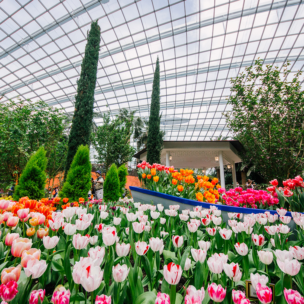 MOE AST Learning Journey