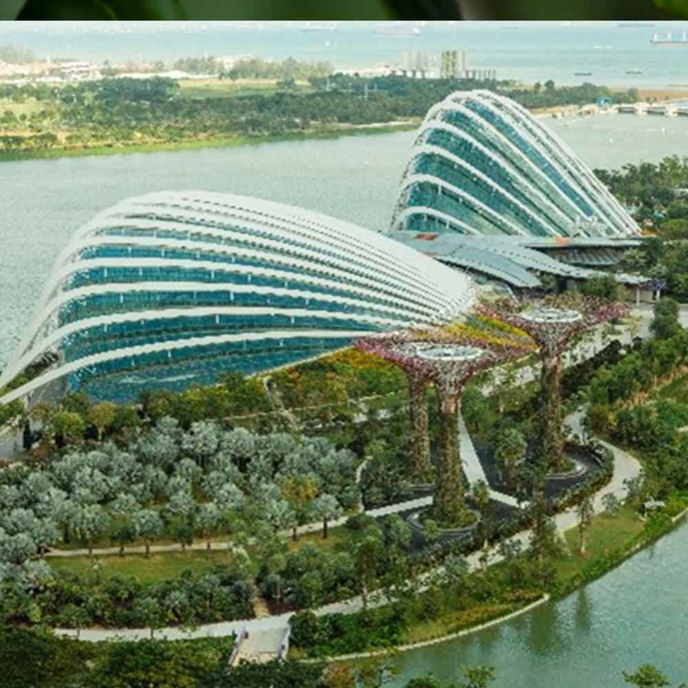 Pre-school Teacher Engagement