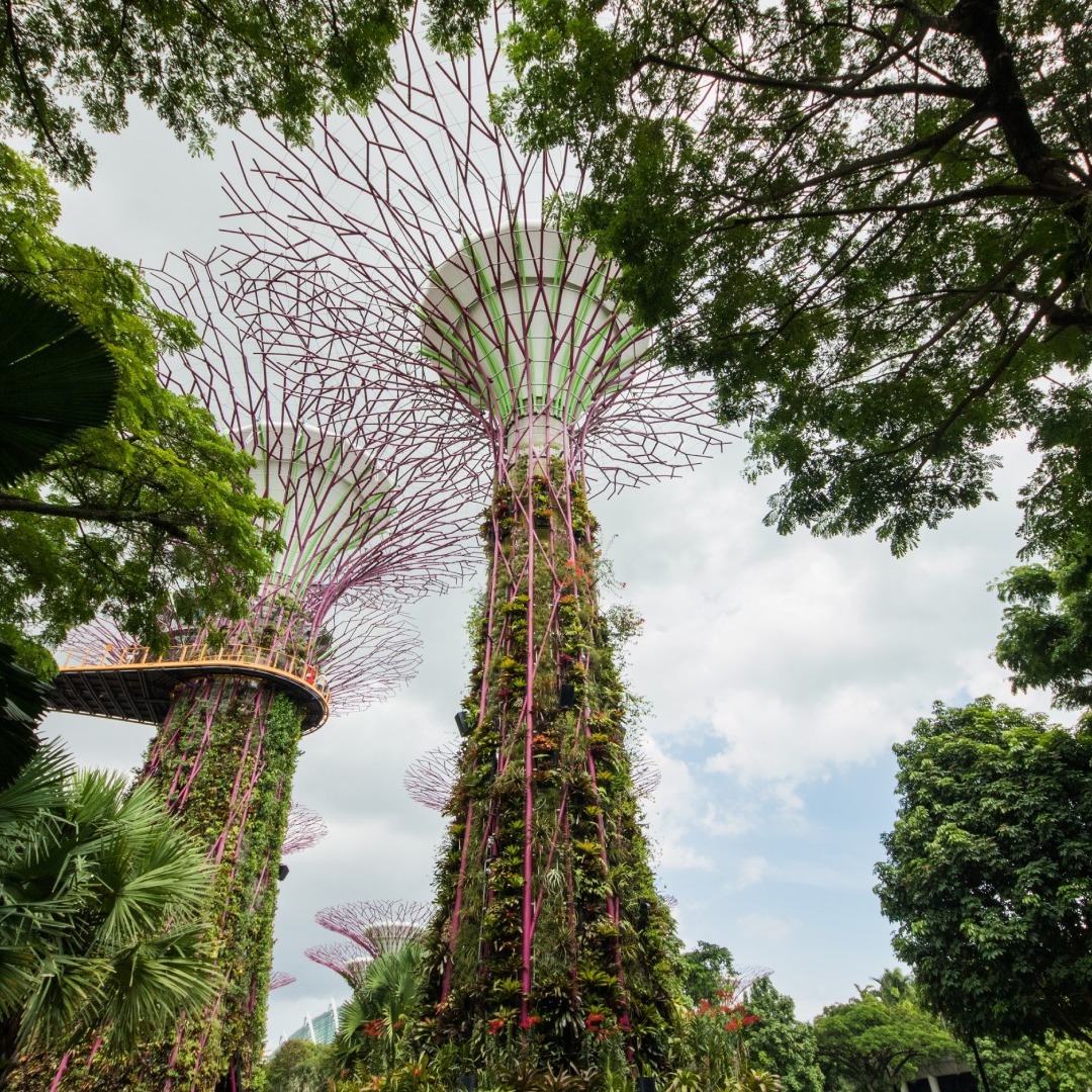 Secrets of the Gardens: Plant Diversity and Sustainability