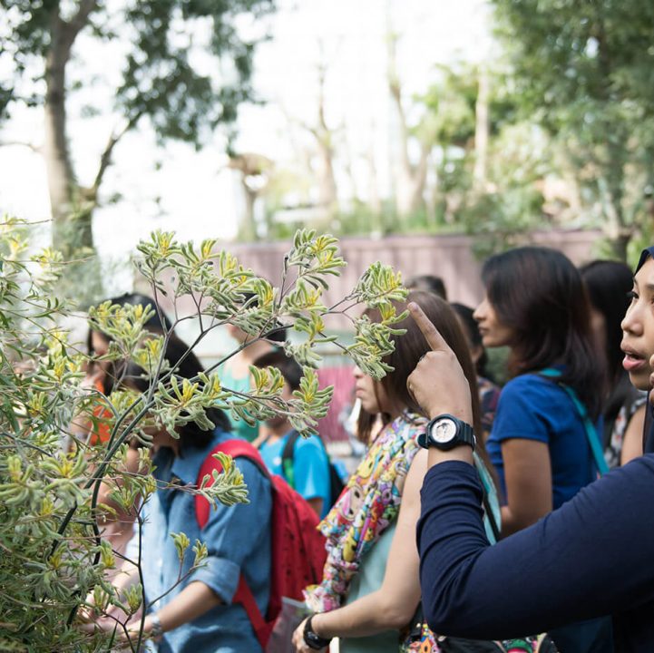 Teacher Work Attachment (Primary and Secondary School)