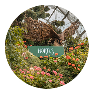 Hortus