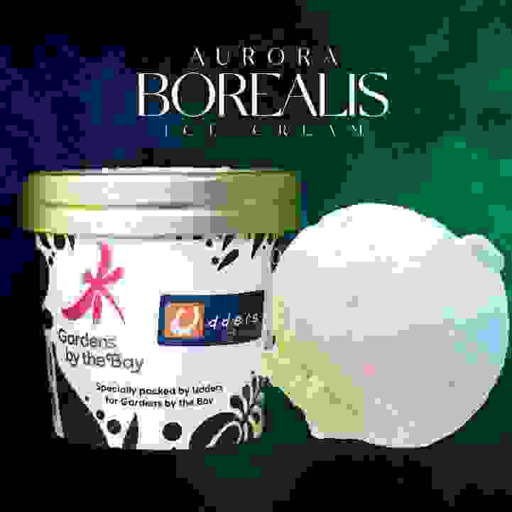 Aurora Borealis Ice-cream by Udders