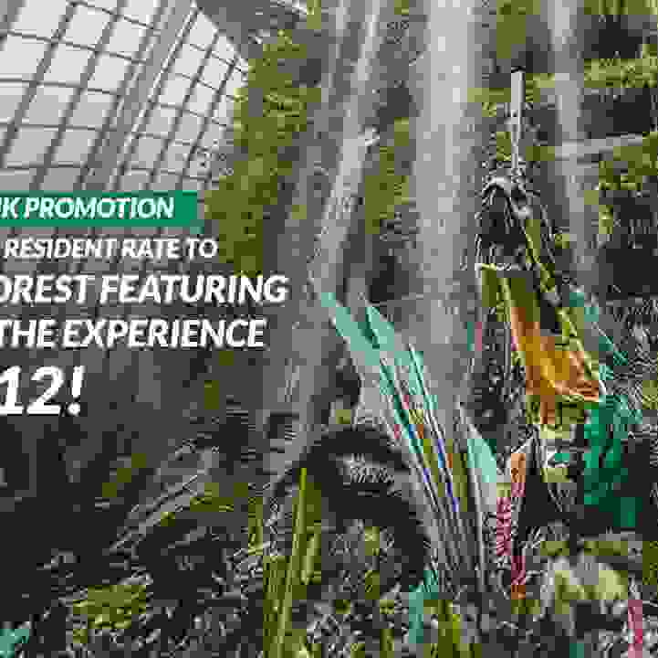 Cloud Forest featuring Avatar: The Experience Local Bank Promotion