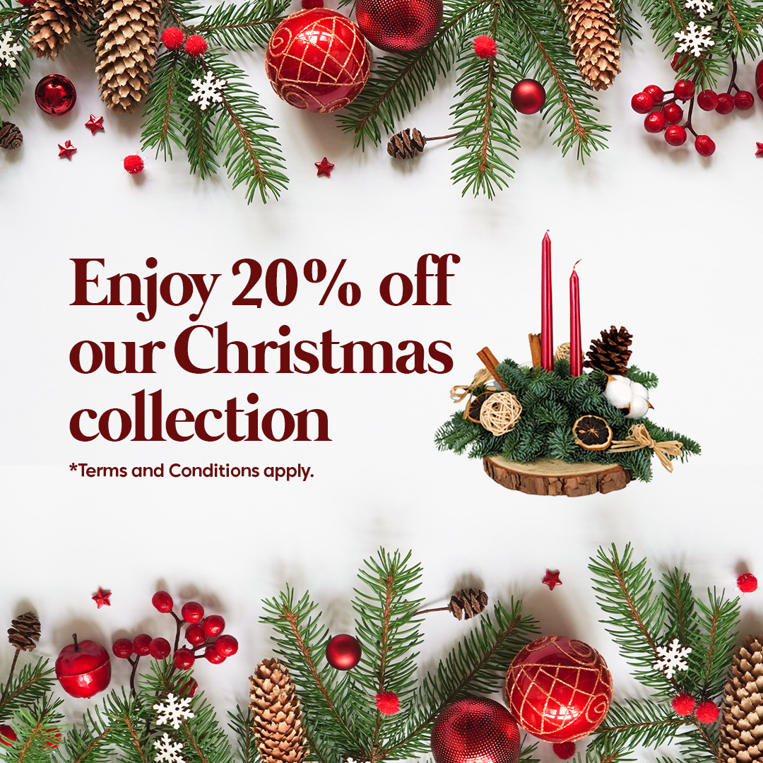 Christmas eShop Promotion