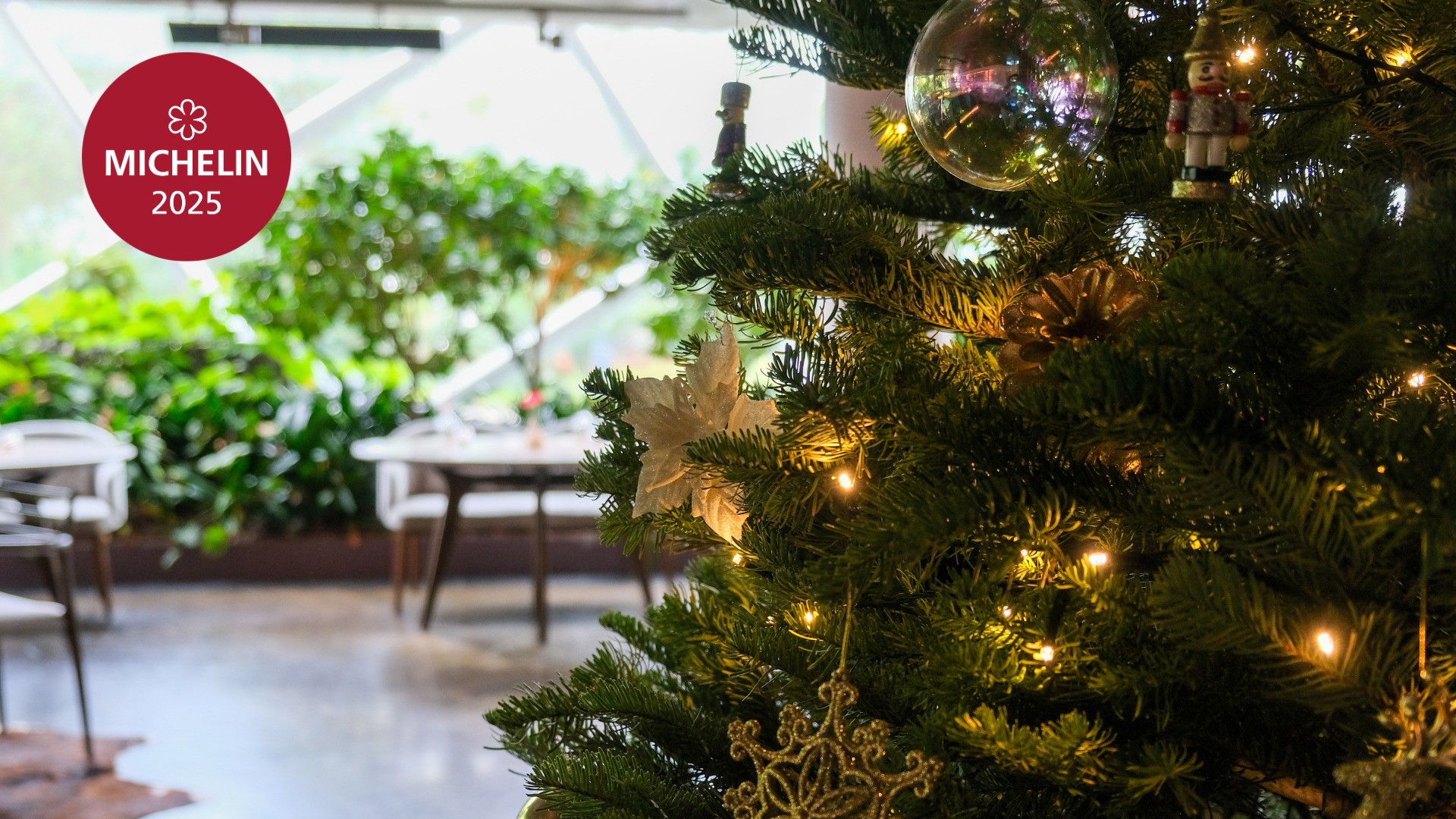 Christmas Festivities at Marguerite!