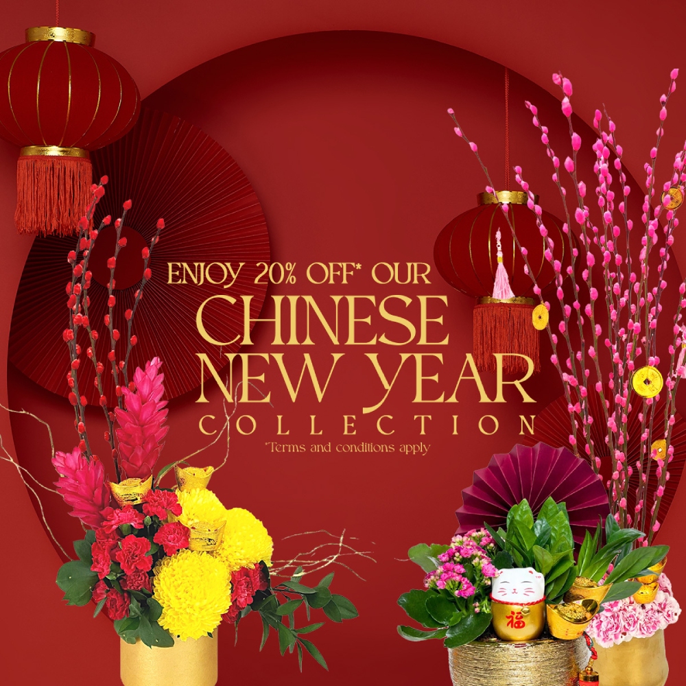 Chinese New Year eShop Promotion